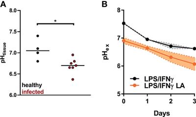 Acidic Microenvironments Found in Cutaneous Leishmania Lesions Curtail NO-Dependent Antiparasitic Macrophage Activity